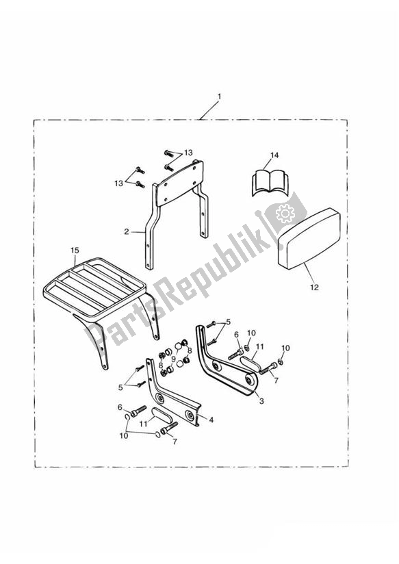 All parts for the Sissy Bar Standard + Luggage Rack Kit of the Triumph America Carburettor 790 2002 - 2007